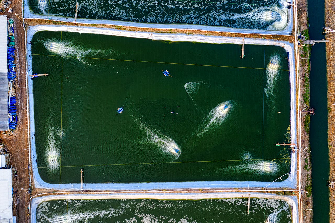 Drone shot of multiple rectangular fish ponds with dynamic water flow in West Java, Indonesia.
